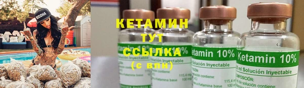 шишки Беломорск