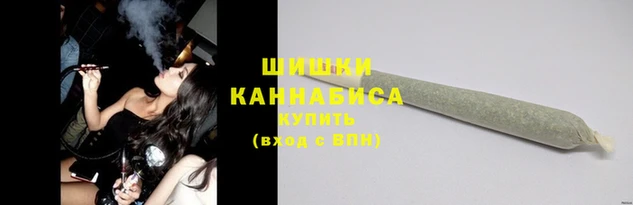 шишки Беломорск