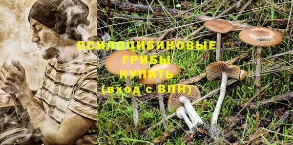 a pvp Белокуриха