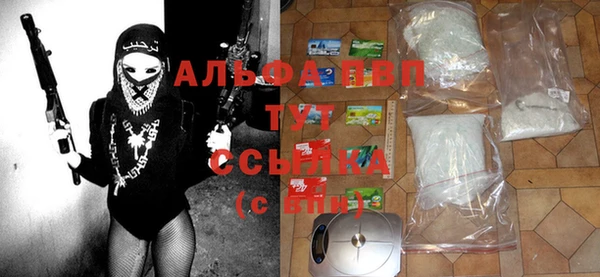 a pvp Белокуриха