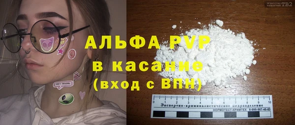 шишки Беломорск