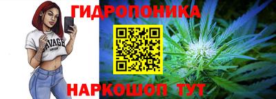 jwh Гусев