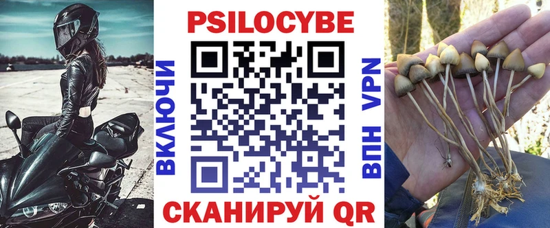 Псилоцибиновые грибы прущие грибы  купить закладку  Малоярославец 