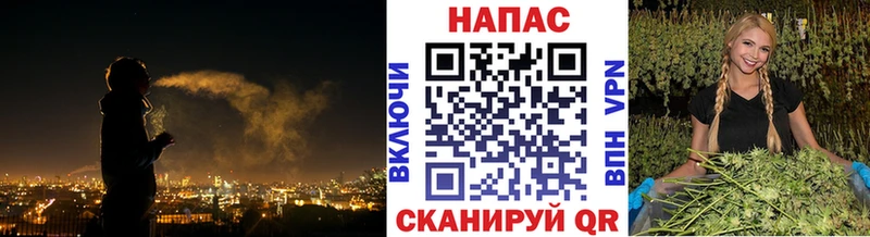 Каннабис конопля  Малоярославец 